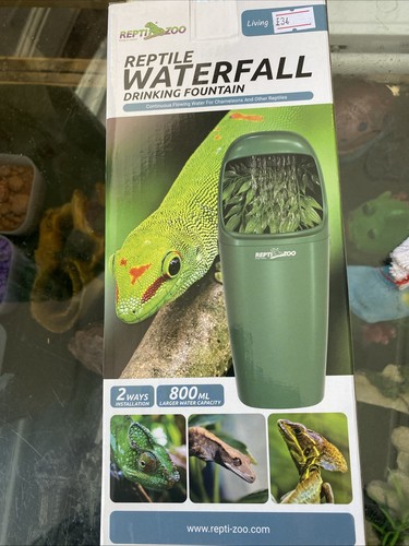 Reptizoo waterfalll drinking - reptizoo,