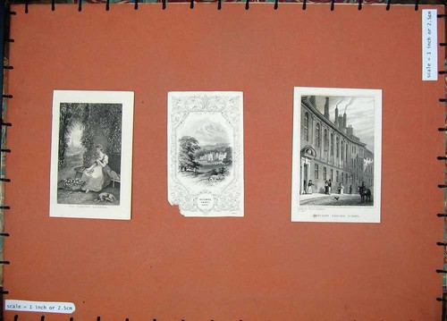 Old antique print merchant - old,