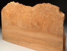 Crook Blanks Wood Burr Elm
