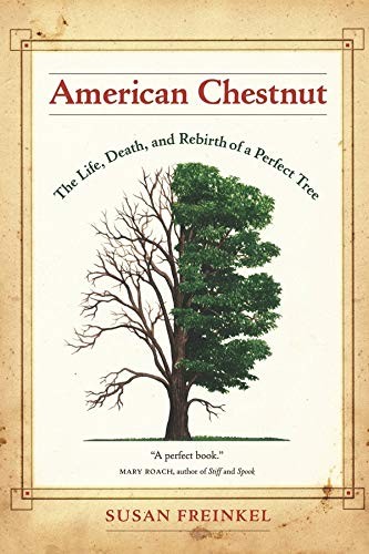 American chestnut the life - chestnut:,
