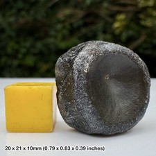 Ichthyosaur Vertebra Fossil