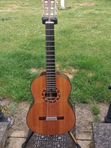 Takamine tgl 2006 with - 7,