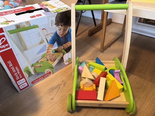 Hape wooden push - hape,