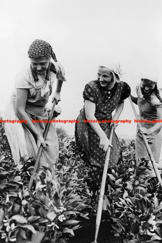 F016039 bdm girls work the - f016039, in