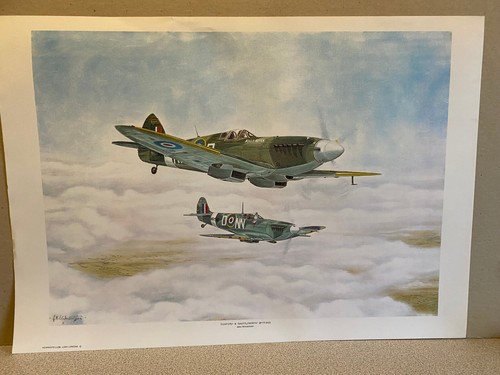 Raf spitfire fighter aviation - raf,