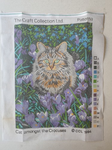 Cat amongst the - cat,