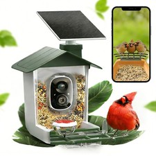 Solar powered 5MP Smart Bird