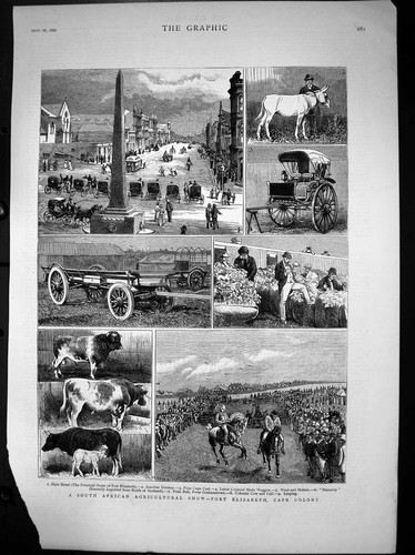 Old antique print agricultural - old,