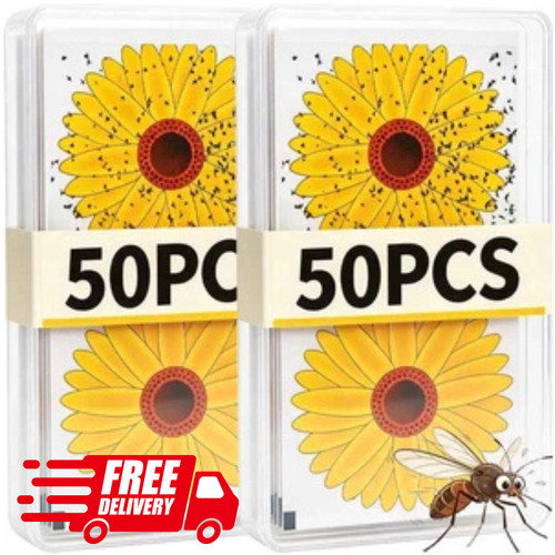 20pcs window fly - 20pcs,