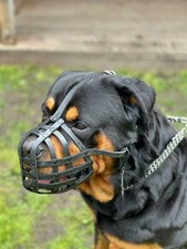 Light leather Dog Muzzle for