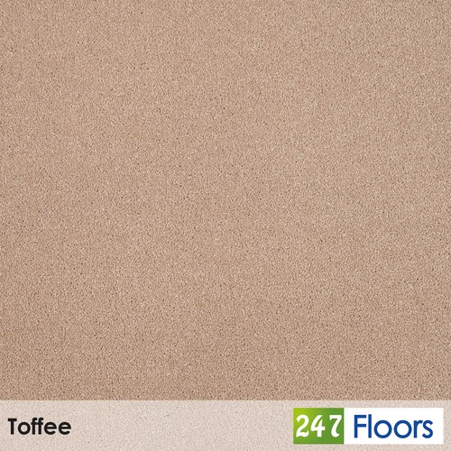 Toffee hampstead 50oz - 50oz, carpet
