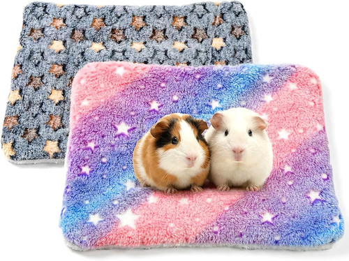 Rainflow pack guinea pig - 2,