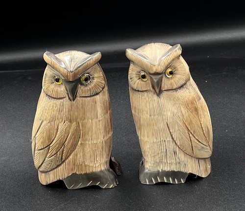 Pair carved bovine horn - pair,