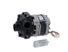 GLASSWASHER DISHWASHER WASH