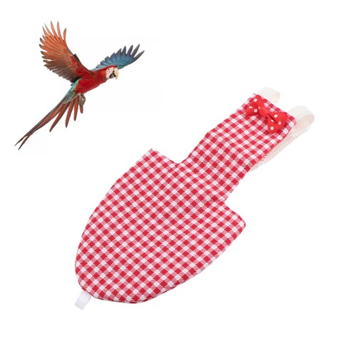 Bird diaper comfortable - bird,