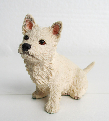 Pups galore westie model - galore,