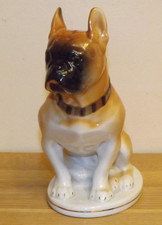 EARLY LOMONOSOV FRENCH BULLDOG