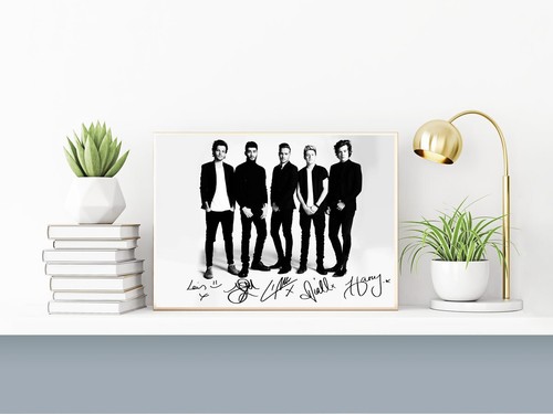 One direction poster - poster, a4
