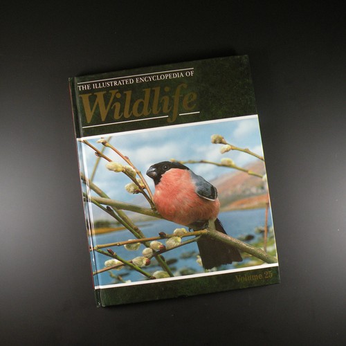 The illustrated encyclopedia - the,