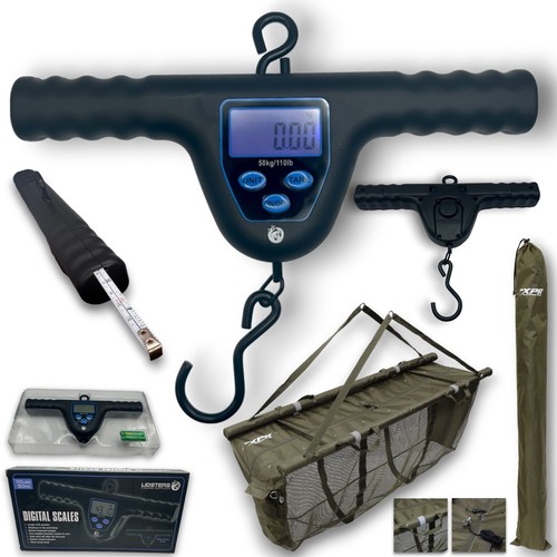 Lfs digital scales bar carp - scales,