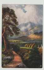 Tuck Oilette Postcard, The