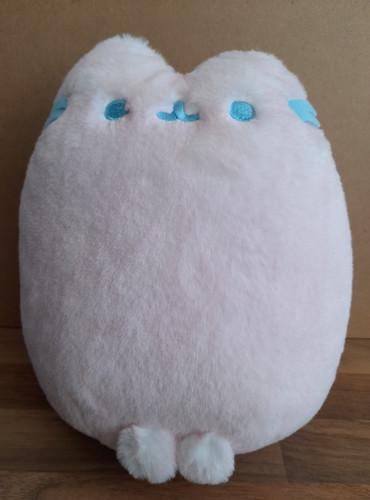 Bnwt pusheen shop - pusheen, exclusive