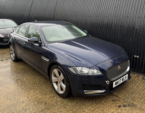 Jaguar portfolio dark - jaguar, d