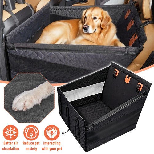 Hard bottom dog - dog, car