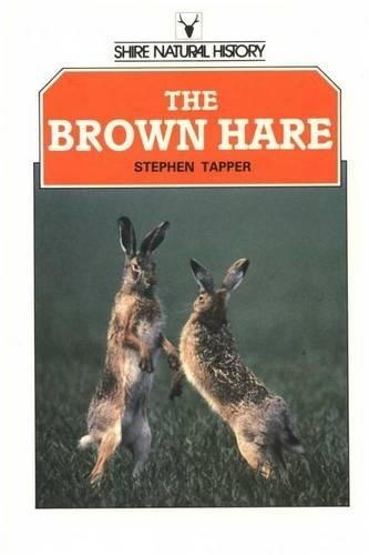 The brown hare shire natural - hare, (shire