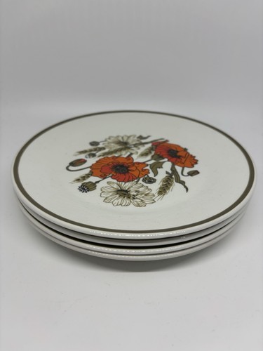 Meakin inch plates x4 - inch,