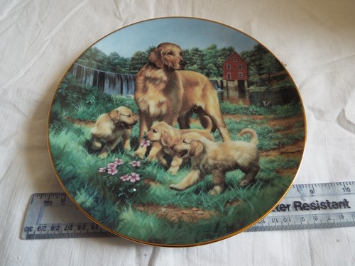 Pottery porcelain danbury - pottery,