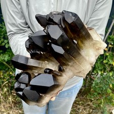 9.47LB Large Natural Black