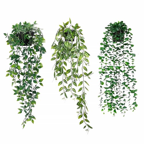 Artificial hanging plants - plants, with