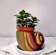 Handmade Seashell Ornament Sea