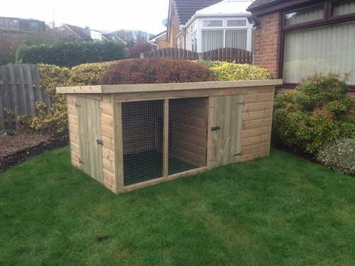 Dog kennel and run 10x4 - dog,