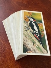 Carreras Craven Black Cat Cigarette Cards Full Set - British Birds 1976