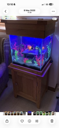 Aqua oak aquarium - &, cabinet