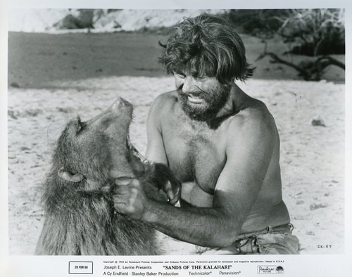Sands the kalahari - of,