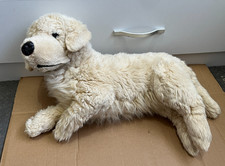 Golden yellow labrador - golden,