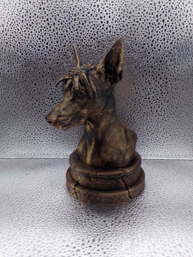 Peruvian hairless dog - peruvian,