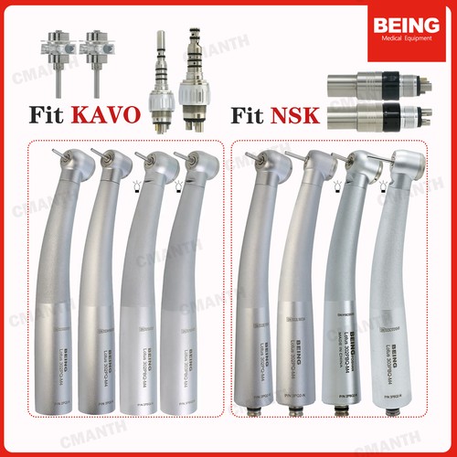 Being dental fiber - being, high