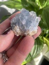 Celestite Small Cluster Geode Angelic Crystal Stone 49gm (6)