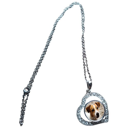 Jack russell dog heart shape - russell,