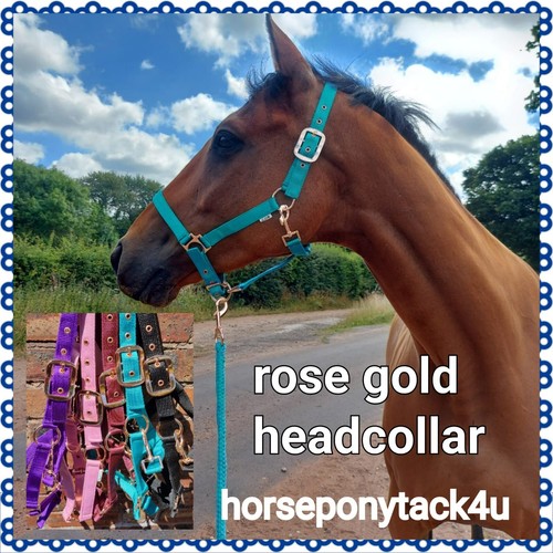 Rose gold headcollars - rose,