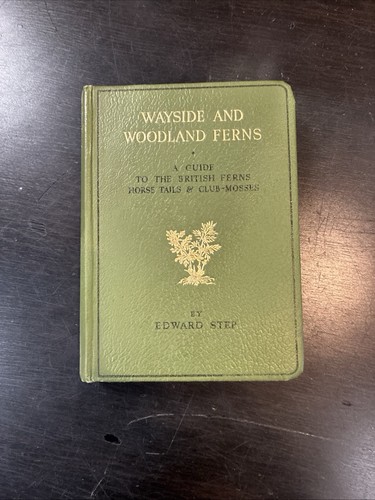 Wayside and woodland ferns - and, ferns: