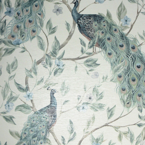 Keeka peacock wallpaper - peacock,
