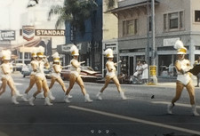 50s AMERICANA, PET PARADE