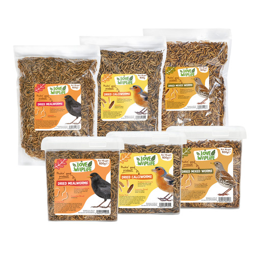 Love wildlife dried - love,