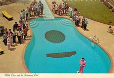 Postcard Continental Tennessee