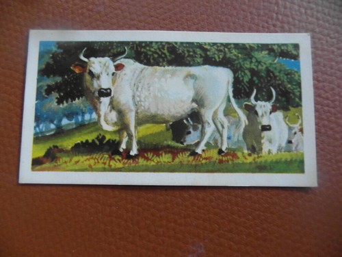 Brooke bond british - , "british